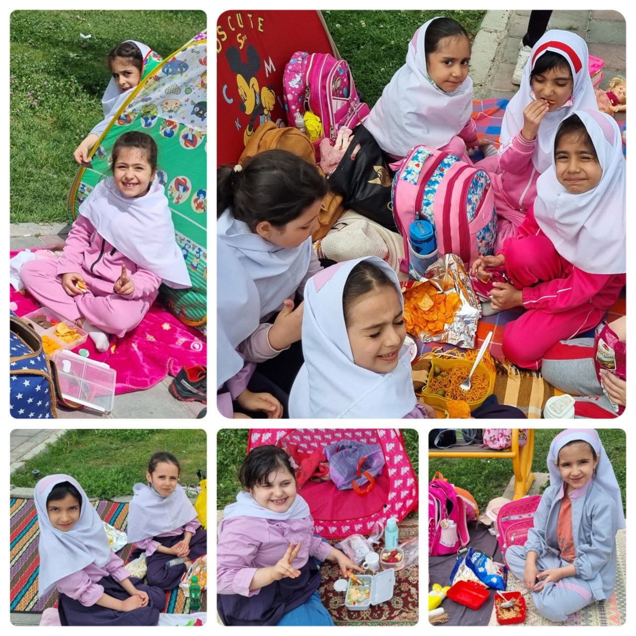 اردوهای تفریحی به پارک